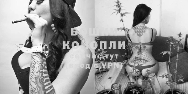 крисы Алексин