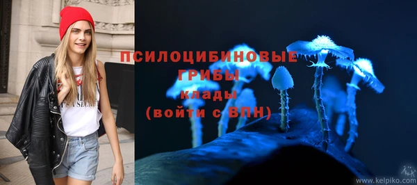 крисы Алексин