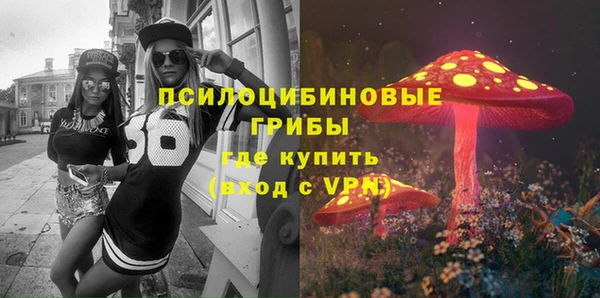 крисы Алексин