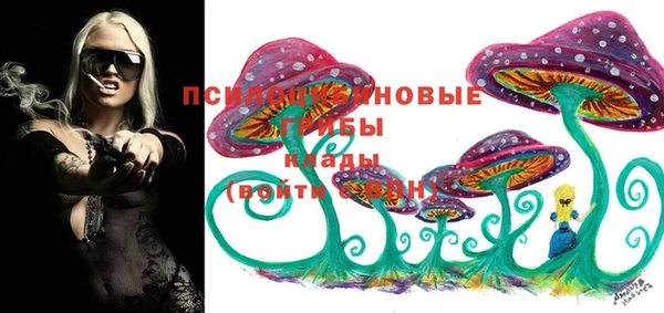 эйфоретик Алексеевка