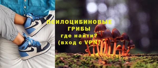 крисы Алексин