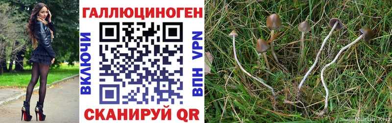 hydra онион  где купить наркоту  Анапа  нарко площадка наркотические препараты  Галлюциногенные грибы Cubensis 